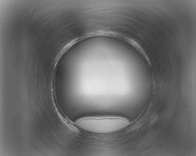 X0000056350954200508260916
