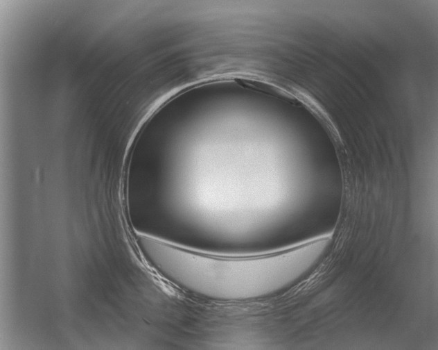 X0000056350956200508260916