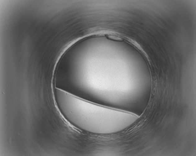 X0000056350959200508260916