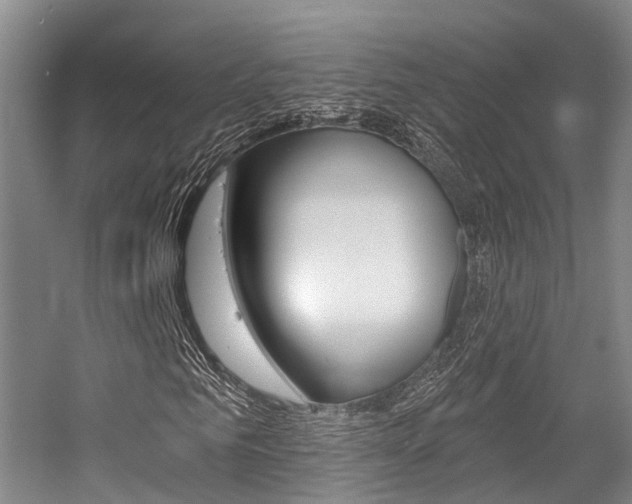 X0000056350961200508260916