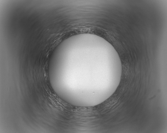 X0000056350962200508260916