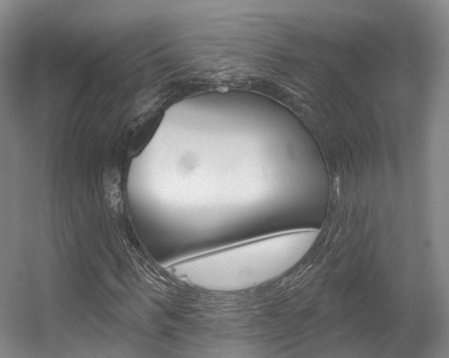 X0000056350963200508260916