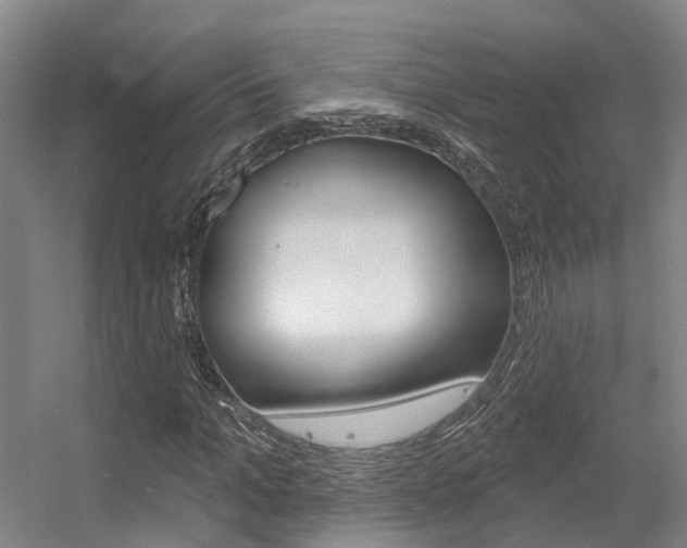 X0000056350965200508260916