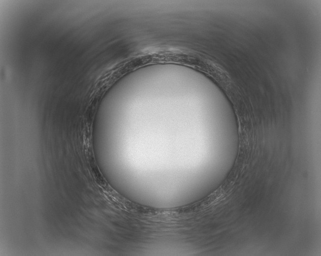 X0000056350966200508260916