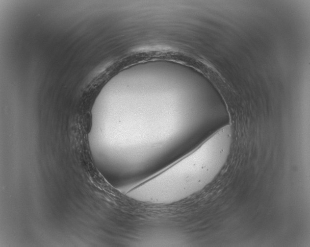 X0000056350967200508260915