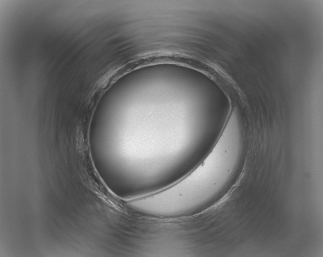 X0000056350969200508260915