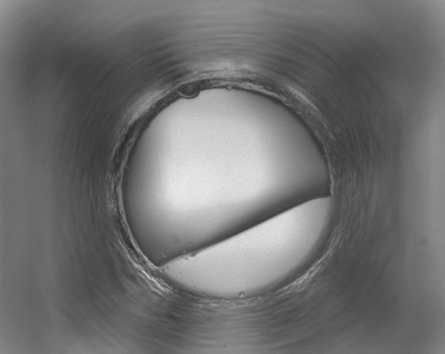 X0000056350970200508260915