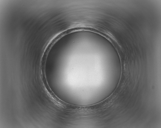 X0000056350972200508260915