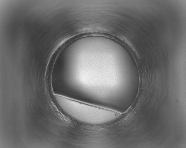 X0000056350975200508260915