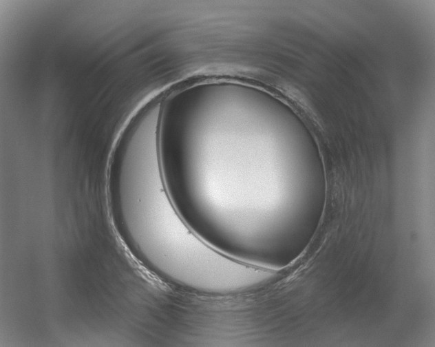 X0000056350976200508260915