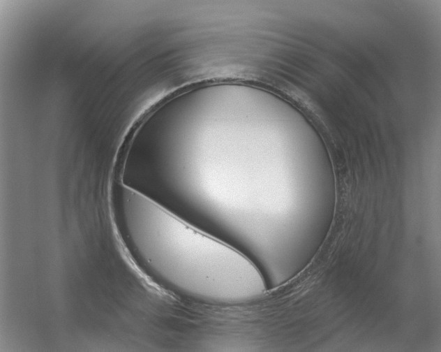 X0000056350991200508260915