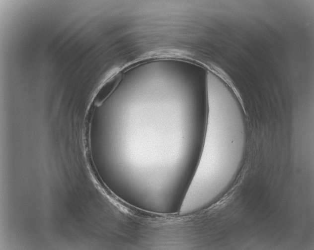 X0000056350997200508260915