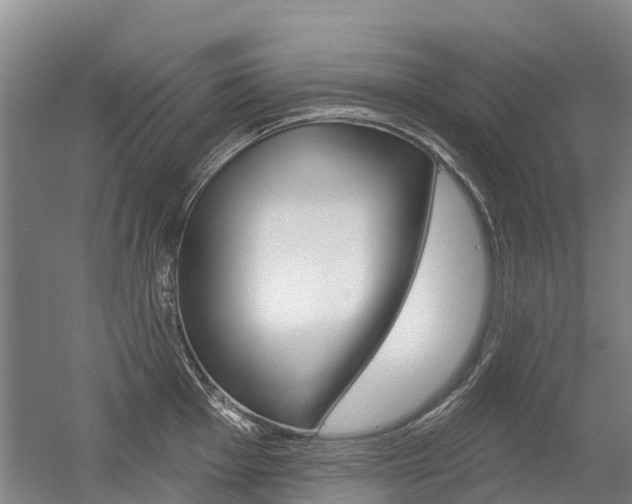 X0000056351001200508260915