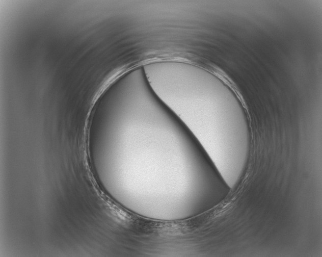 X0000056351002200508260915