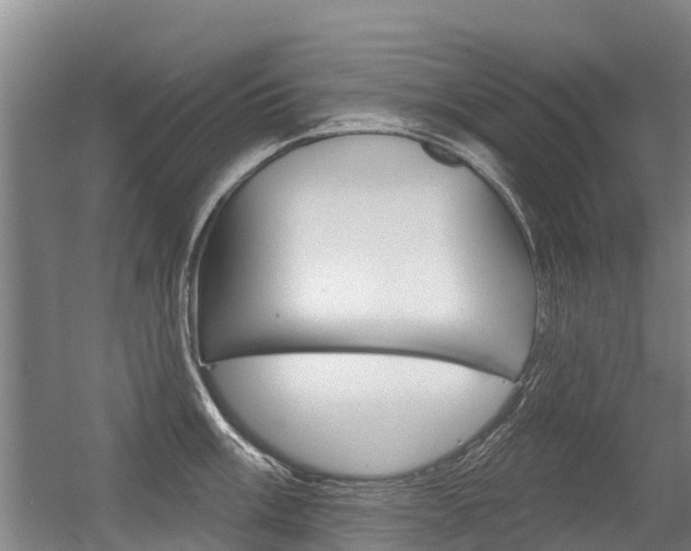 X0000056351003200508260915