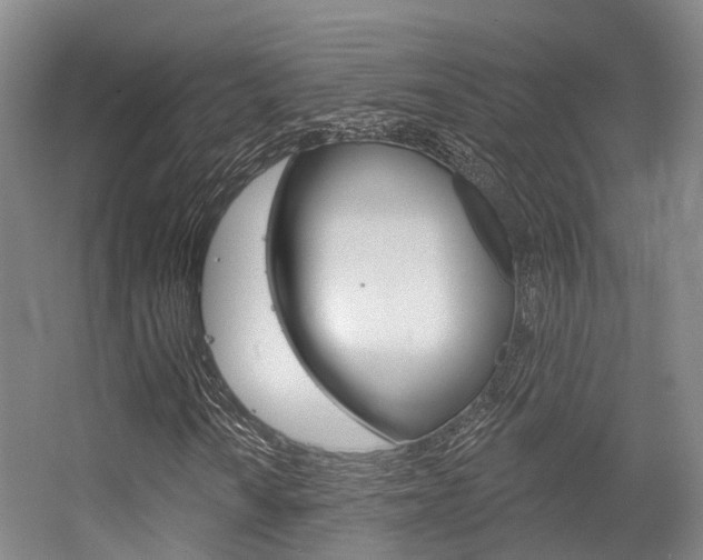 X0000056351010200508260914