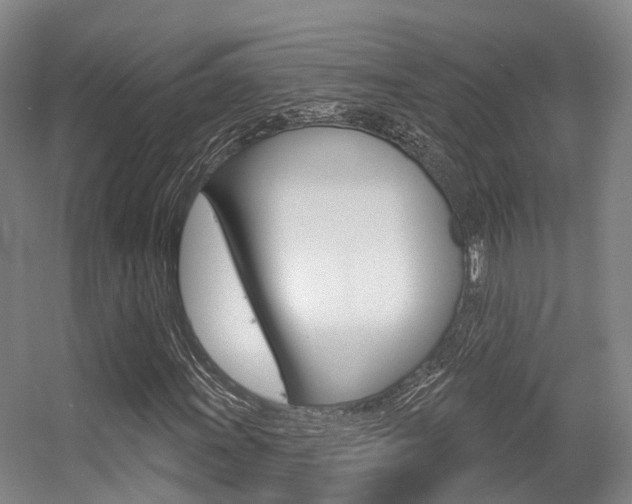 X0000056351011200508260914