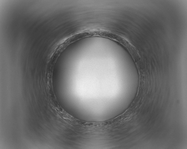 X0000056351016200508260914