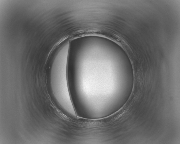 X0000056351018200508260914