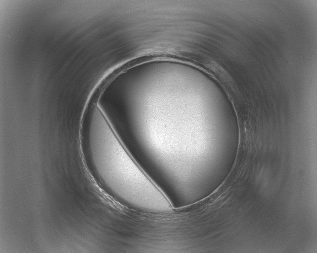 X0000056351020200508260914
