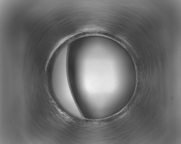 X0000056351022200508260914