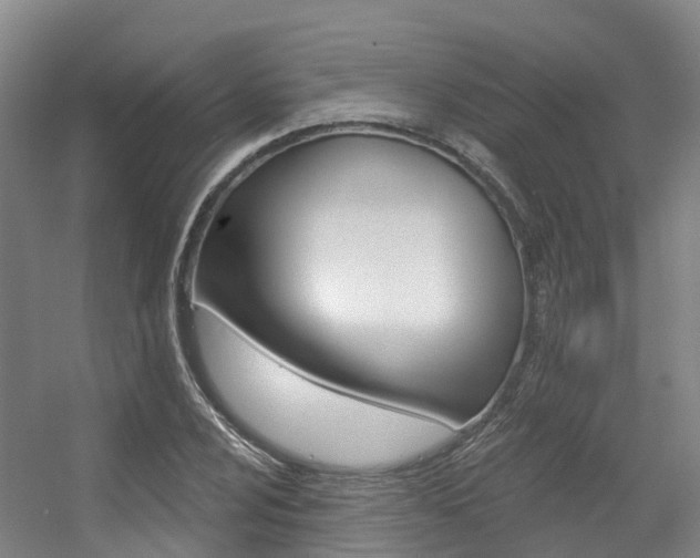 X0000056351024200508260914
