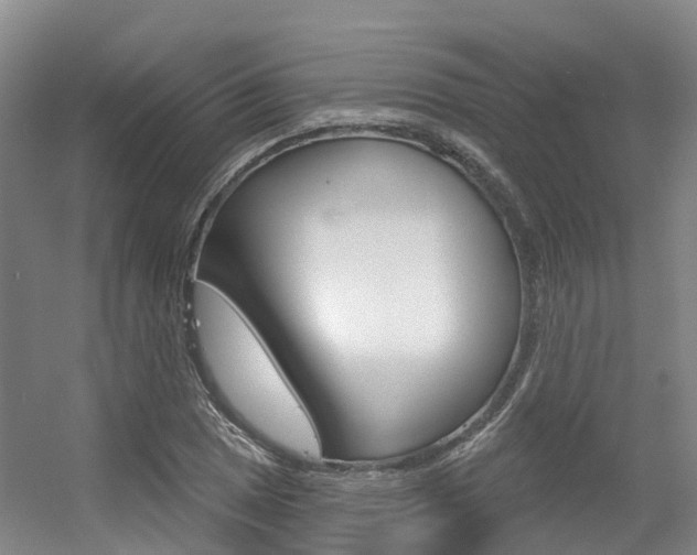 X0000056351025200508260914