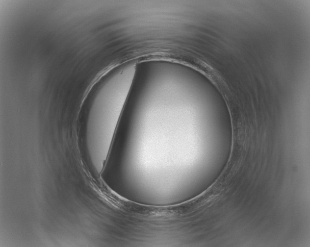 X0000056351026200508260914