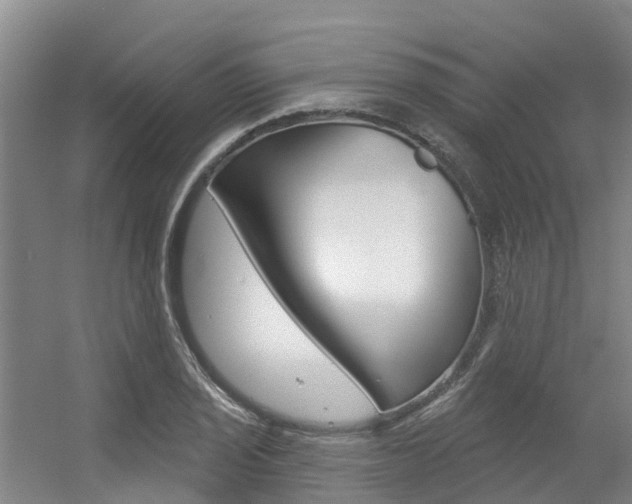 X0000056351029200508260914