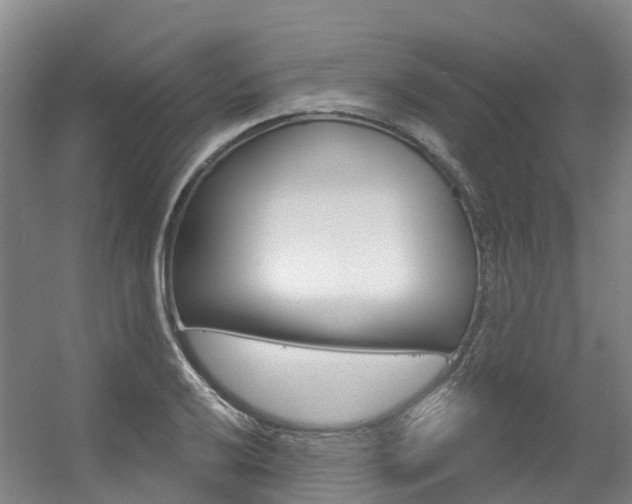 X0000056351032200508260914