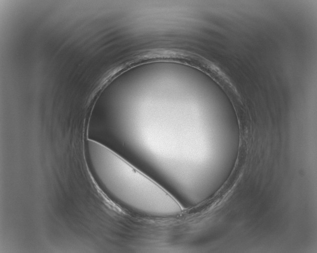 X0000056351033200508260914