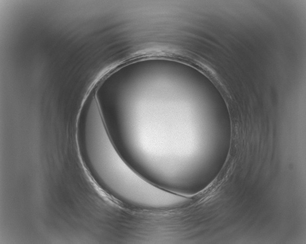 X0000056351034200508260914