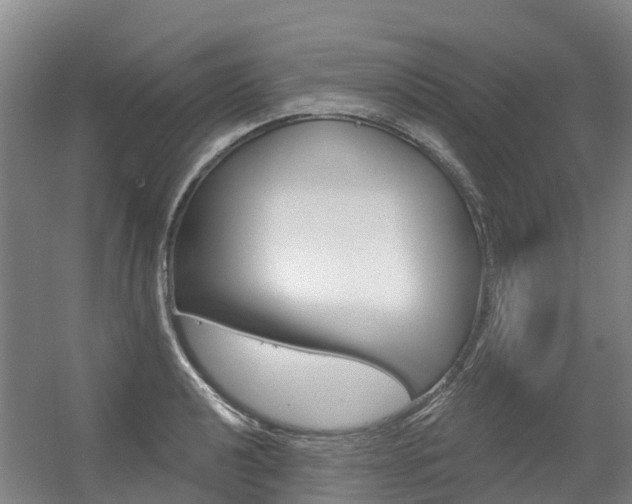 X0000056351040200508260915
