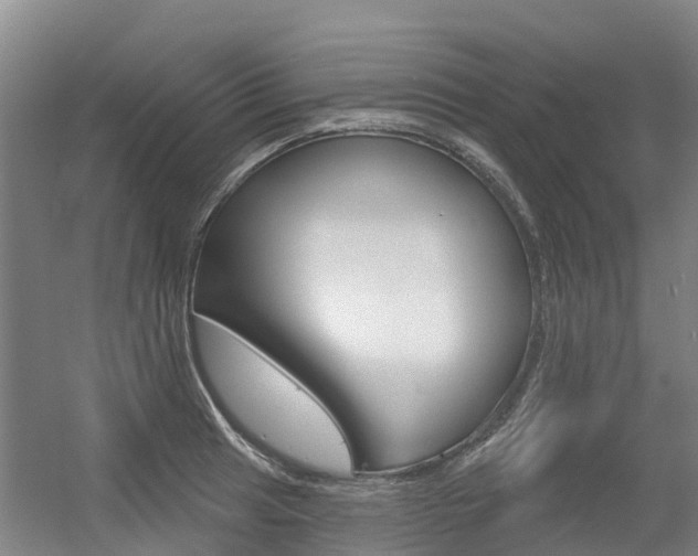 X0000056351041200508260915