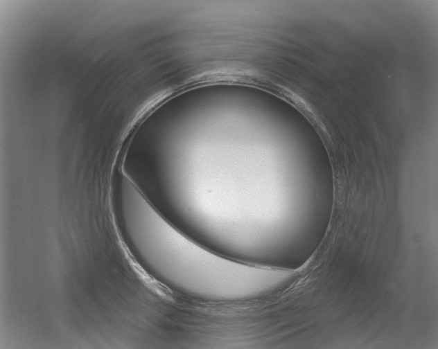 X0000056351042200508260915