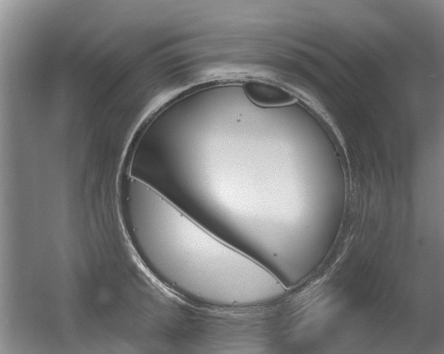 X0000056351045200508260915
