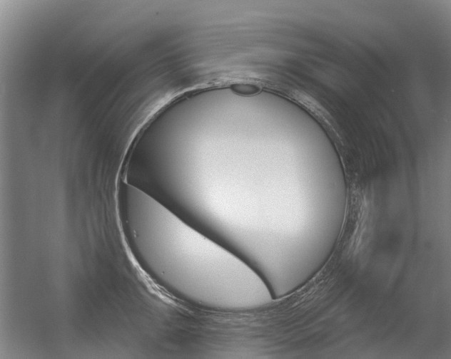 X0000056351047200508260915