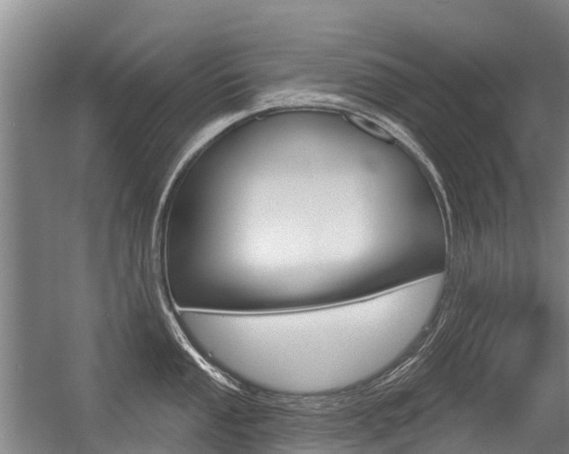 X0000056351053200508260915