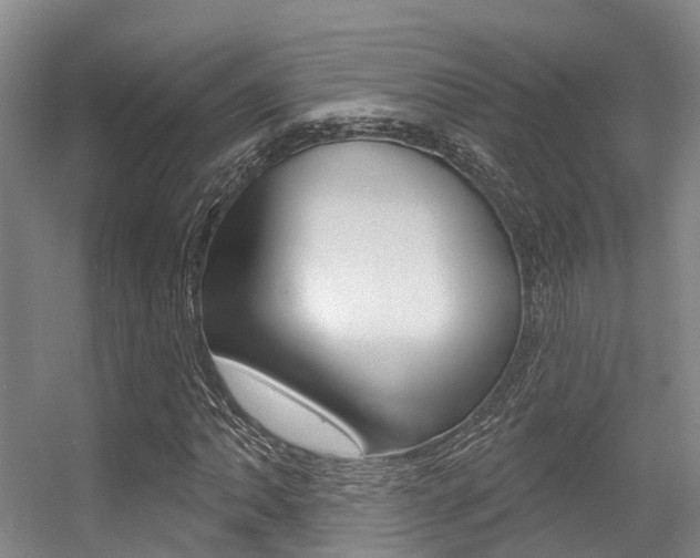 X0000056351062200508260914