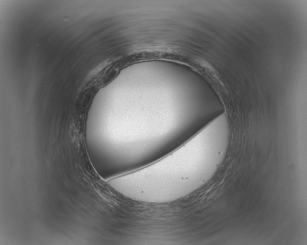 X0000056351064200508260914