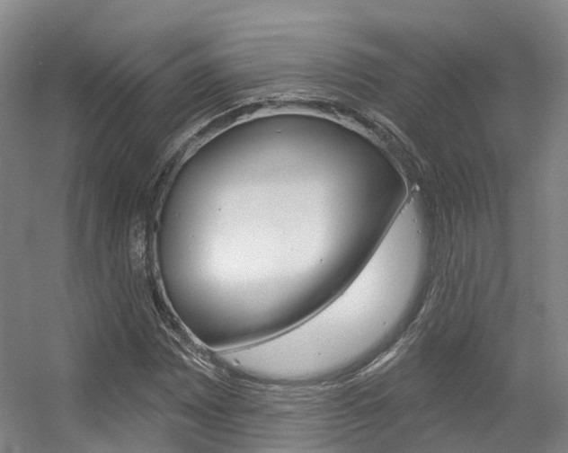 X0000056351065200508260914