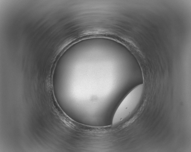 X0000056351073200508260914