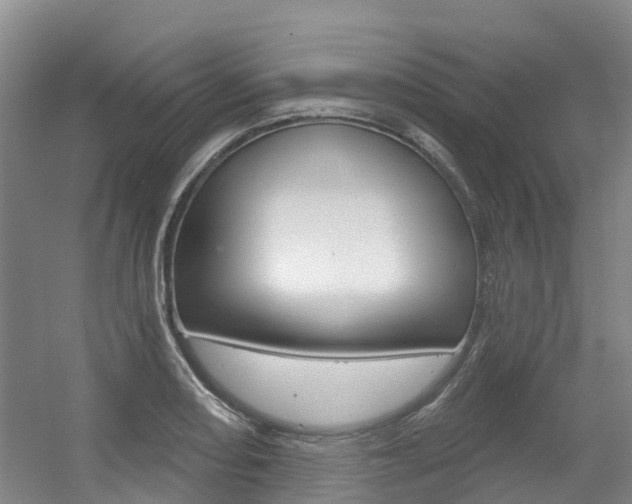 X0000056351082200508260914