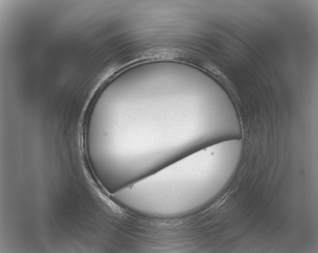 X0000056351083200508260914