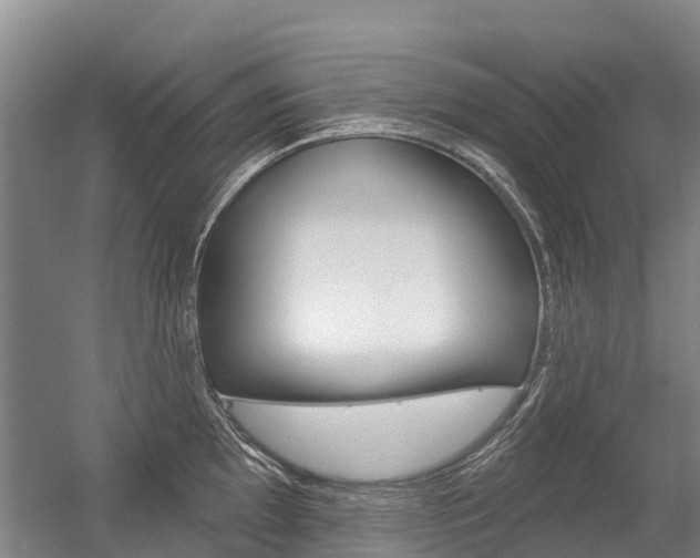 X0000056351097200508260913