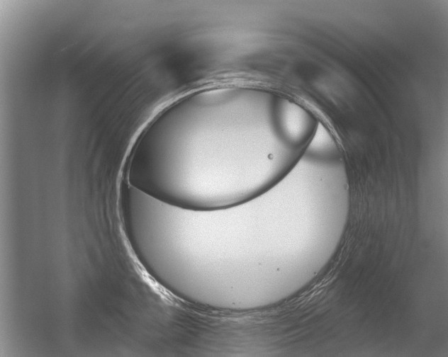 X0000056351099200508260913