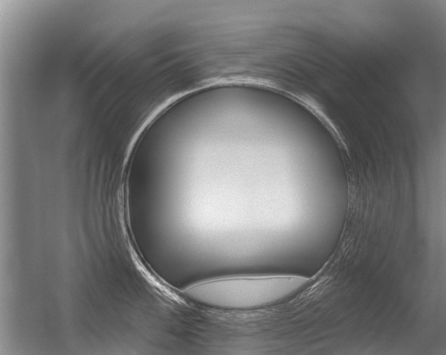 X0000056351100200508260913