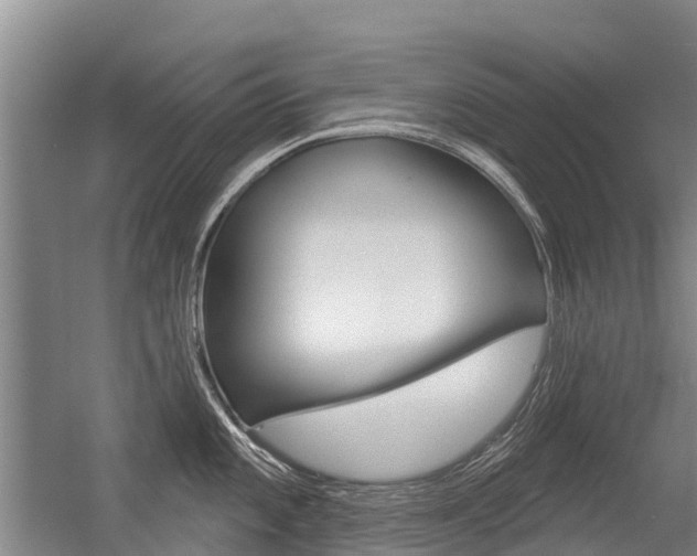 X0000056351101200508260913
