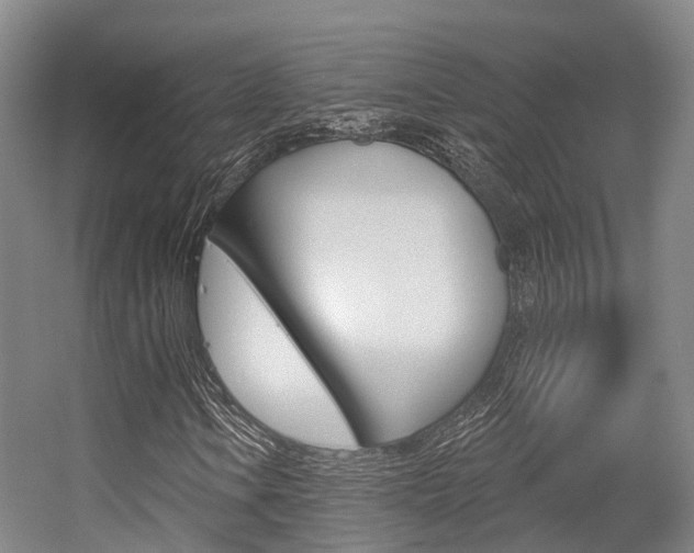 X0000056351106200508260912