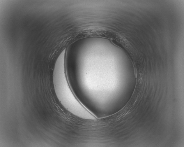 X0000056351108200508260912